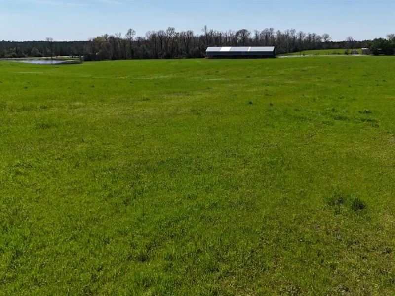 33 Acres Pastureland for Sale Union : Marion : Union Parish : Louisiana