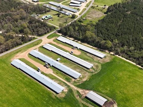 Turn-Key 7 House Broiler Farm in Lo : Marion : Union Parish : Louisiana