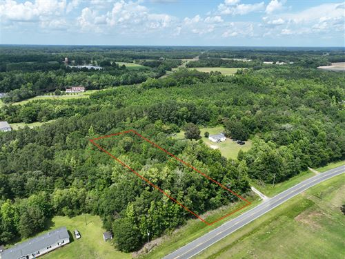 Serene 1.1 Acre in Grifton, NC : Grifton : Pitt County : North Carolina