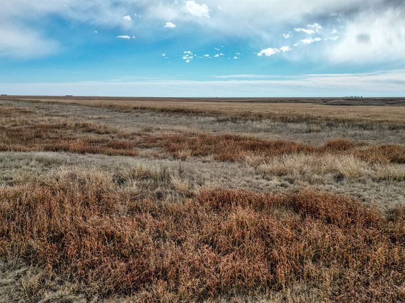600 Acre Crp Farm for Sale : Two Buttes : Prowers County : Colorado