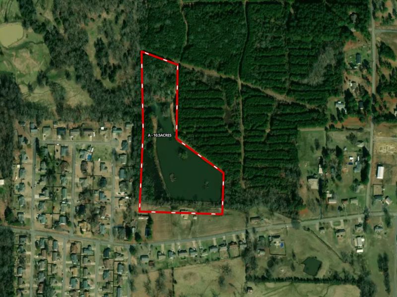 Large Pond and Timber : Pottsville : Pope County : Arkansas