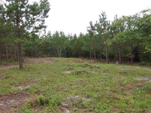 Views, no Restrictions, Driveway : Evensville : Bledsoe County : Tennessee