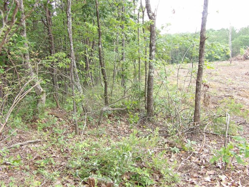 Rd Frontage, Creek, Level : Evensville : Bledsoe County : Tennessee