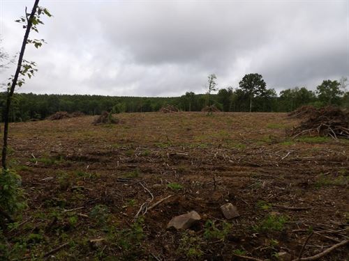 Creek, Plenty of Building Spots : Evensville : Bledsoe County : Tennessee