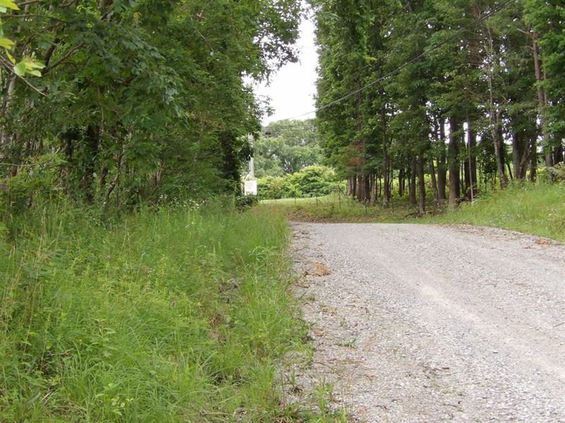No Restrictions, rd Frontage : Evensville : Bledsoe County : Tennessee