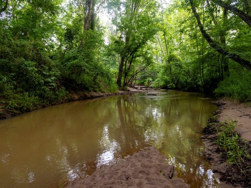Ulcohatchee Creek : Roberta : Crawford County : Georgia