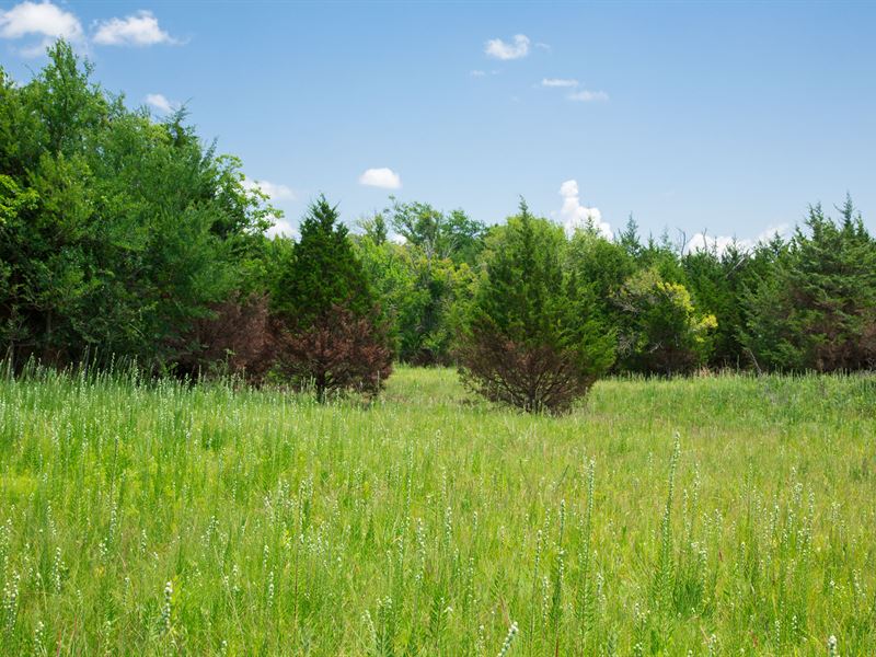 $999 Dwn w Electric/No Credit Check : Okemah : Okfuskee County : Oklahoma