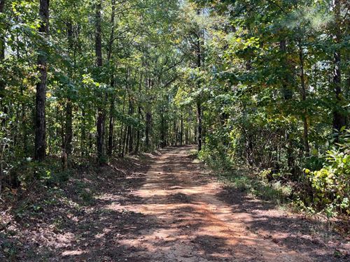 51 Acres Elmore Co : Equality : Elmore County : Alabama