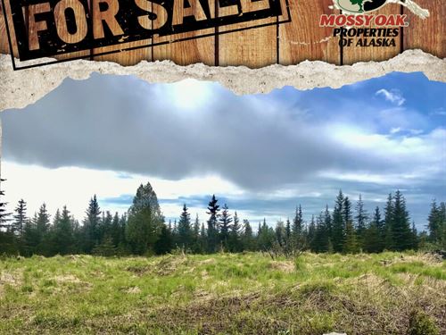 67212 Homestead 40 Acres : Ninilchik : Kenai Peninsula Borough : Alaska