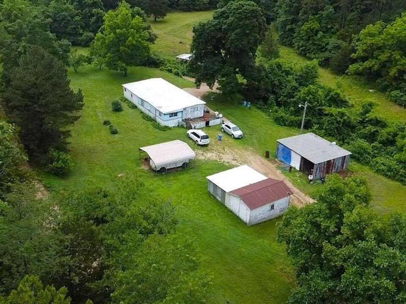 44-Acre Property for Sale in Wayne : Piedmont : Wayne County : Missouri
