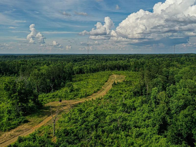 Garrett Creek Loop 190 Acres : Pontotoc : Pontotoc County : Mississippi