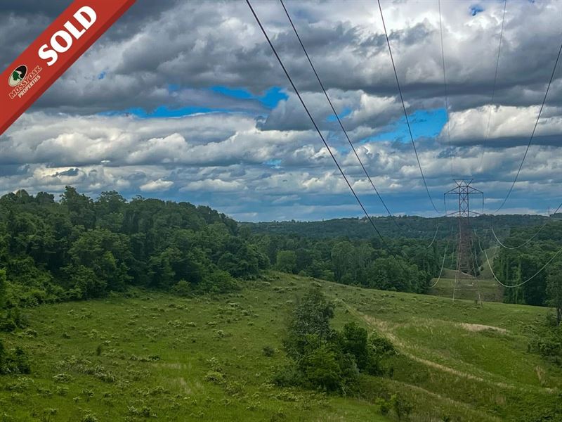 Green Hill Rd, 52 Acres, Monroe : Clarington : Monroe County : Ohio