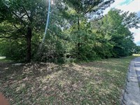 Lot 301 Las Brisas Lane : Dougherty : Georgia