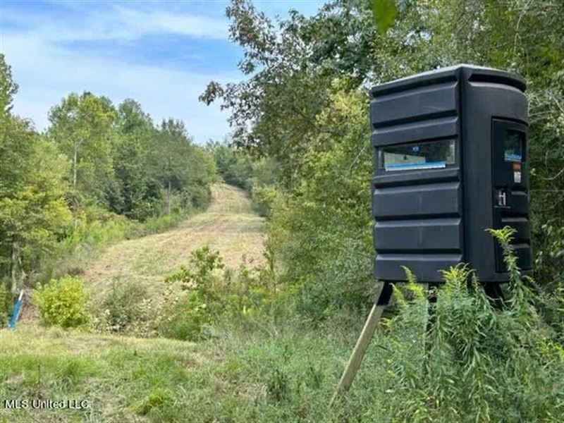 60 Acres for Sale in Yazoo County : Yazoo City : Yazoo County : Mississippi