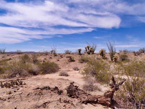 1.17 Acres for The Life You Deserve : Yucca : Mohave County : Arizona