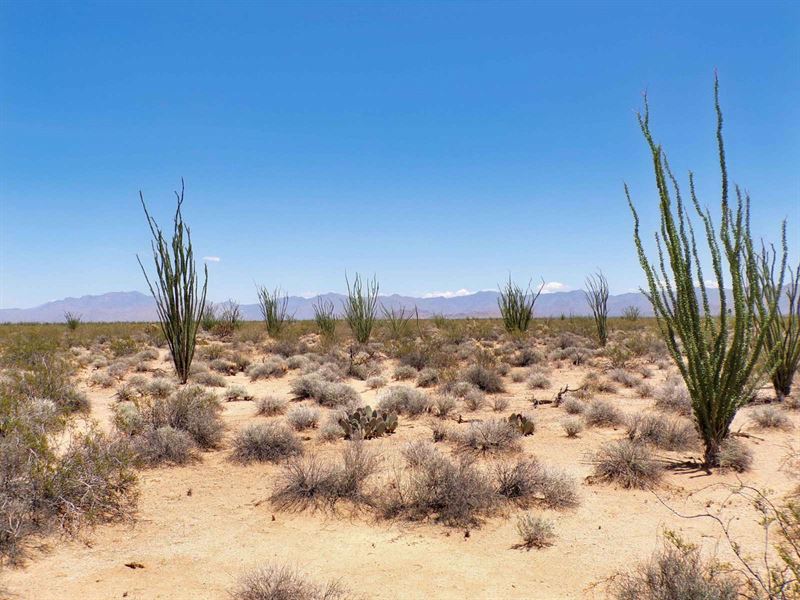 Rule Your World on 5 Secluded Acres : Yucca : Mohave County : Arizona