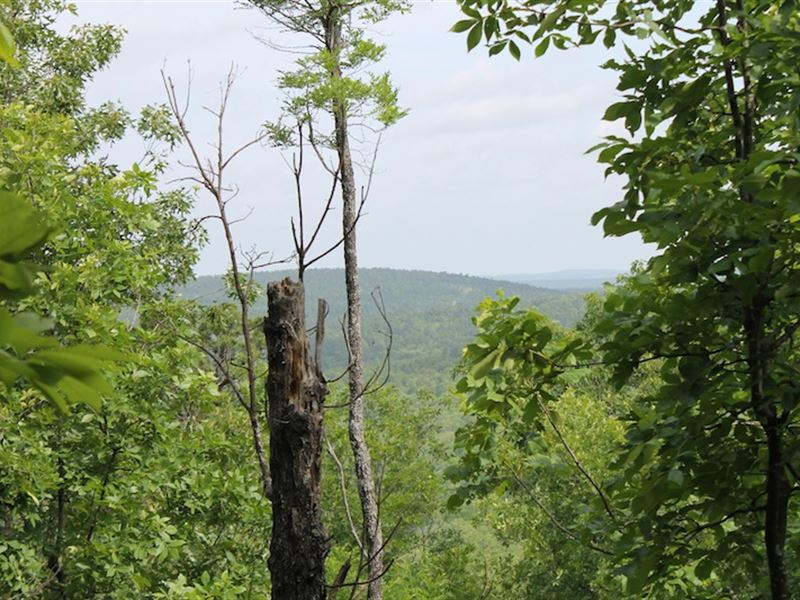 $999 Down/No Credit Check, Own Land : Daisy : Pittsburg County : Oklahoma