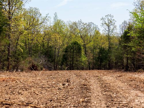 No Credit Check Arkansas Land, $999 : Ash Flat : Fulton County : Arkansas