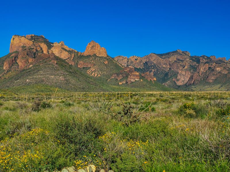 22 Ac Texas Ranch, Only $199/Mo : Dell City : Hudspeth County : Texas