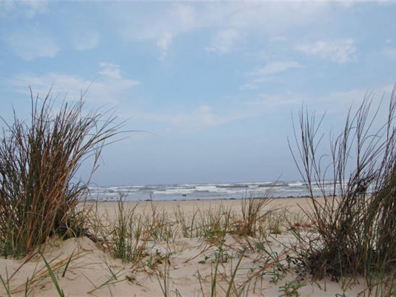 Magnolia Beach, Must Go, $199/Month : Magnolia Beach : Calhoun County : Texas