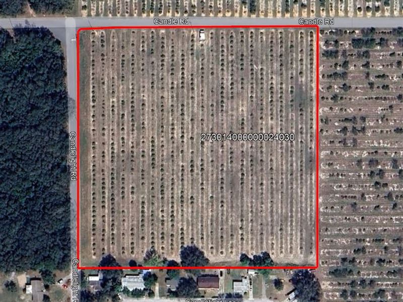 Candle Rd, 9.81 Ac Residential Land : Lake Wales : Polk County : Florida