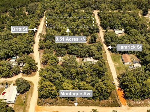 Dream, Design, Develop : Interlachen : Putnam County : Florida