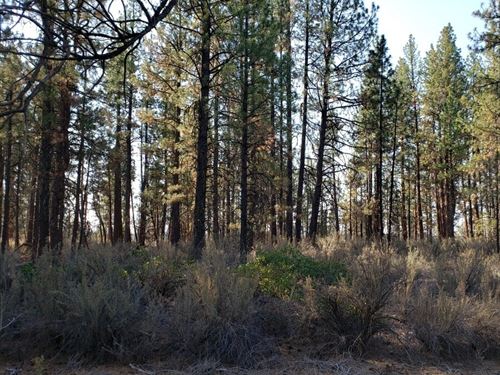 .35 Acres in Klamath County, OR : Oregon City : Klamath County : Oregon