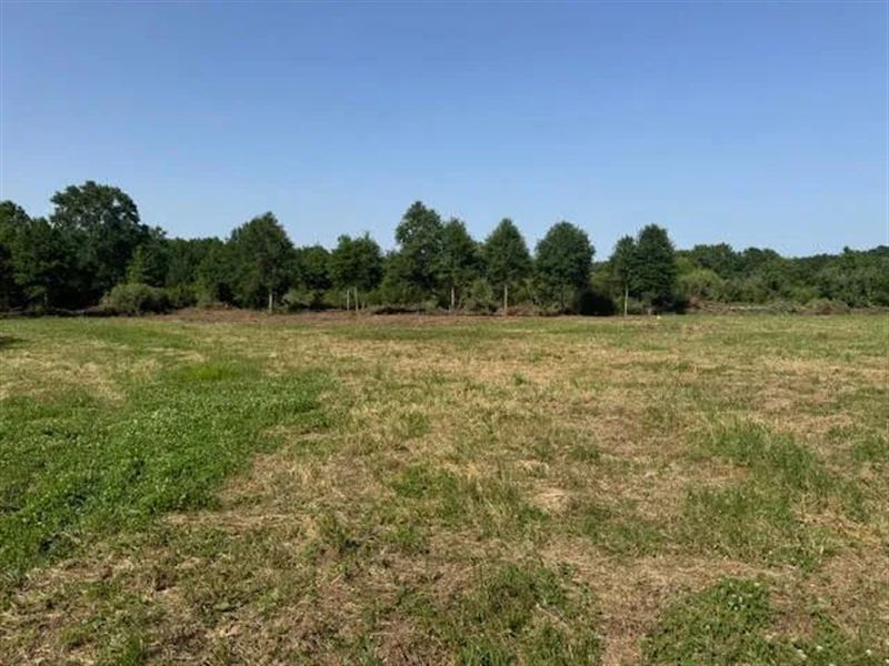6 Acres Williams Road Magnolia : Magnolia : Pike County : Mississippi