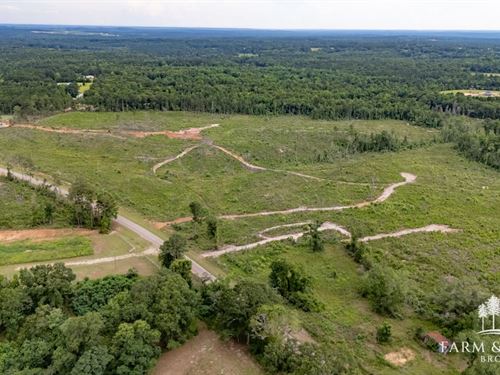 18 Ac, Coffee Co, Jack Tract 3 So : Jack : Coffee County : Alabama