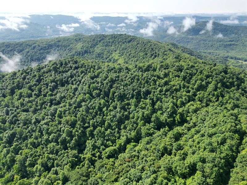 Kensee Hollow 500 : Williamsburg : Whitley County : Kentucky
