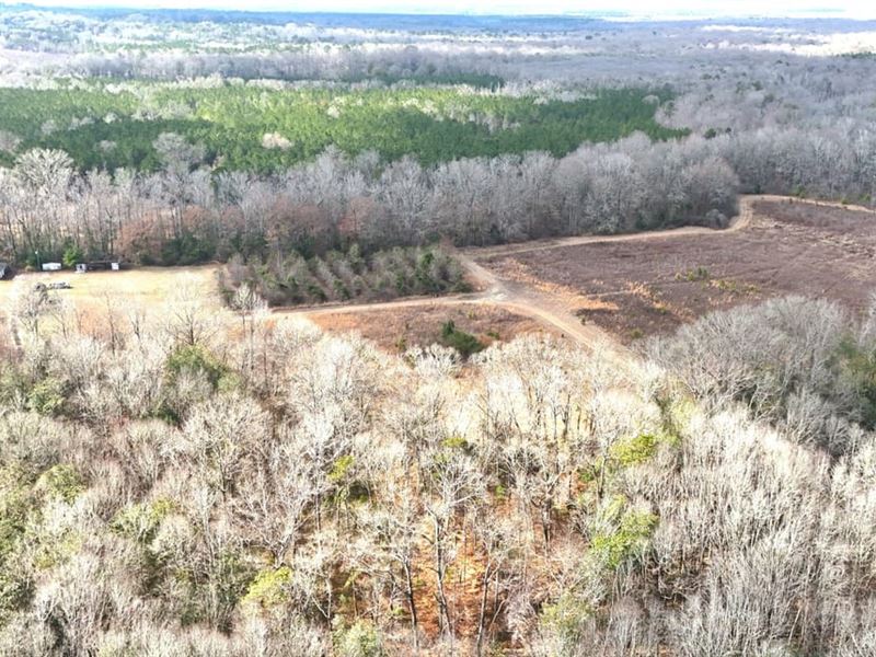 700 Acre Sportsmans Paradise NE : Shorter : Macon County : Alabama