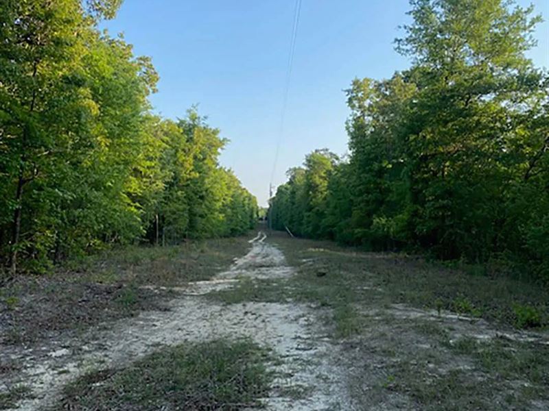 4.9 Acres in Burke County, GA : Waynesboro : Burke County : Georgia
