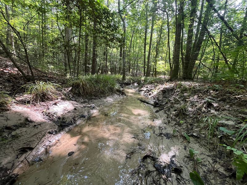 24 Acres in Claiborne Parish, LA : Haynesville : Claiborne Parish : Louisiana