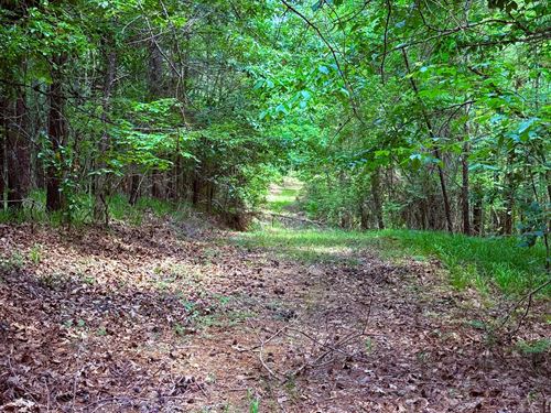 59 Acres In Carroll County, MS : Carrollton : Carroll County : Mississippi