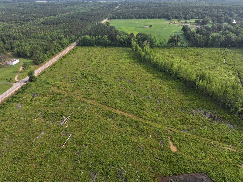 40 Acres in Chickasaw County, MS : Woodland : Chickasaw County : Mississippi