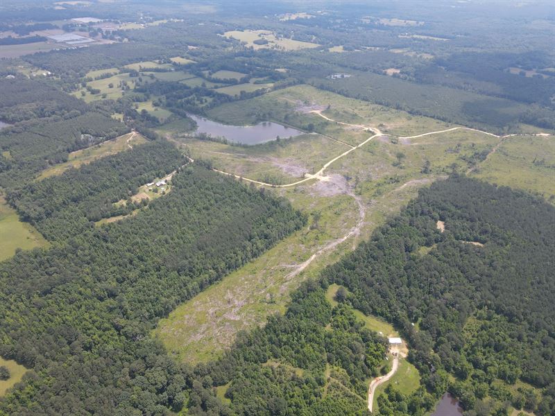 90 Acres in Scott County, MS : Forest : Scott County : Mississippi