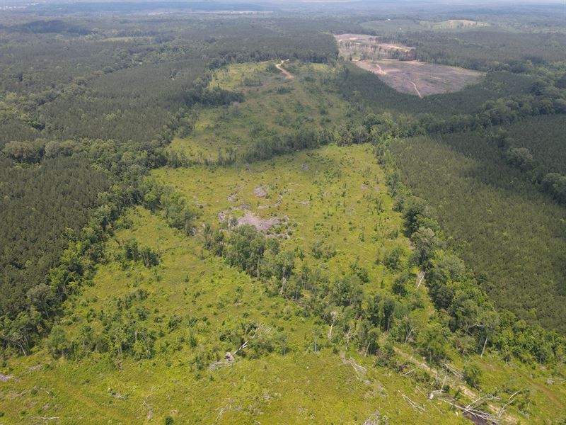 70 Acres in Scott County, MS : Walnut Grove : Scott County : Mississippi