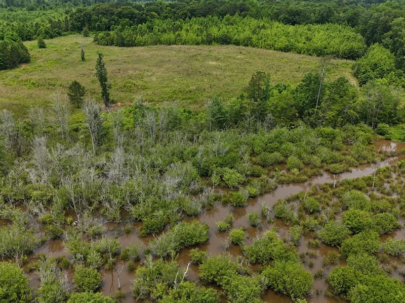 29 Acres in Lamar County, GA : Barnesville : Lamar County : Georgia
