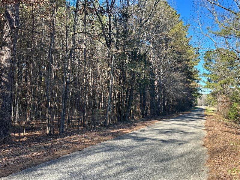 44 Acres with A Home in Winston Cou : Louisville : Winston County : Mississippi