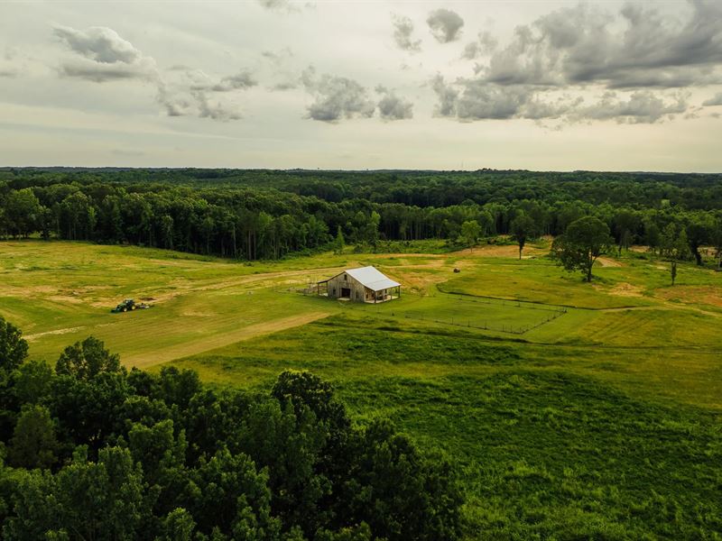 204.9 Acres in Lafayette County, MS : Abbeville : Lafayette County : Mississippi