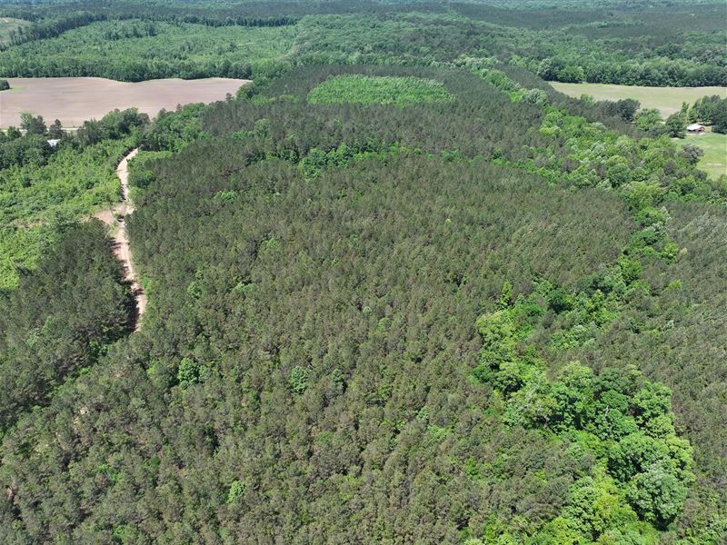 1,117.8 Acres in Calhoun County, MS : Bruce : Calhoun County : Mississippi