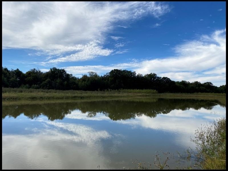 336.52 Acres in Holmes County in Tc : Tchula : Holmes County : Mississippi