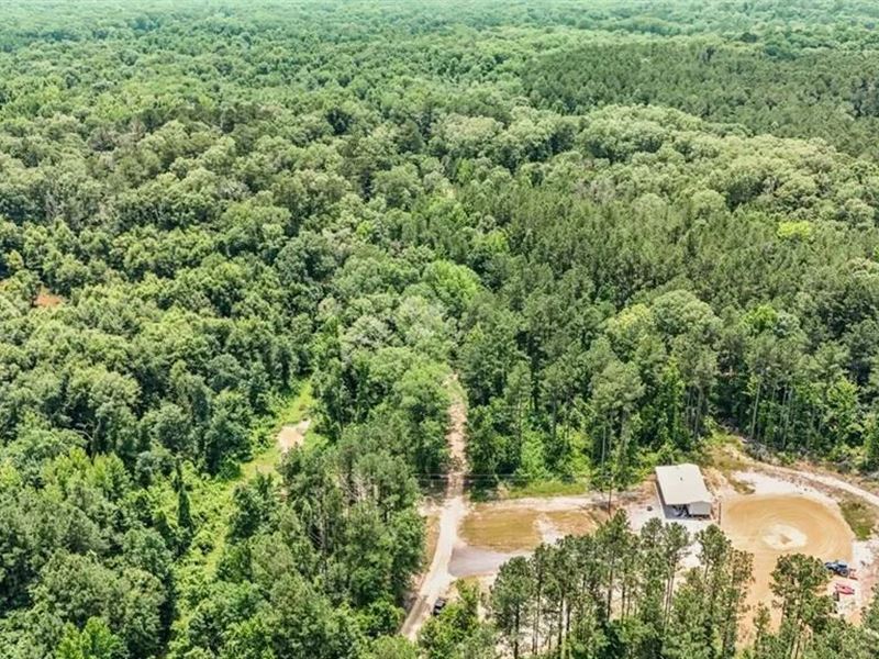 345 Acres with Camp, Creek Borderin : Roxie : Franklin County : Mississippi