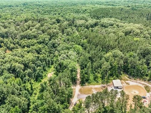 345 Acres With Camp, Creek Borderin : Roxie : Franklin County : Mississippi