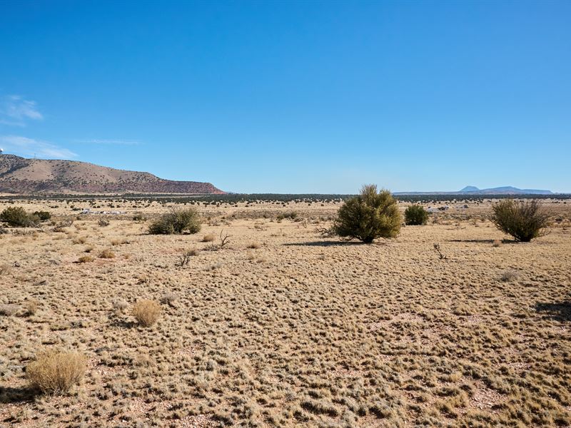 2 Acres to Break Free From The City : Seligman : Yavapai County : Arizona