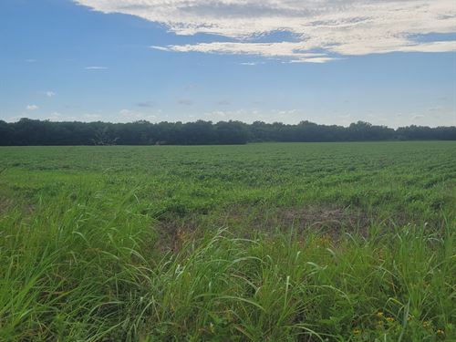 Farm Land for Sale in Deport, TX : Deport : Lamar County : Texas