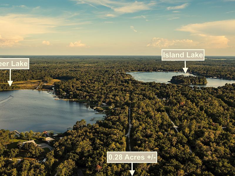 Secluded Florida Lot : Fort Mc Coy : Marion County : Florida