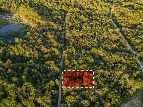 Secluded Florida Lot : Fort Mc Coy : Marion County : Florida