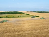 Investment-Grade Row Crop Farm : Bogata : Red River County : Texas