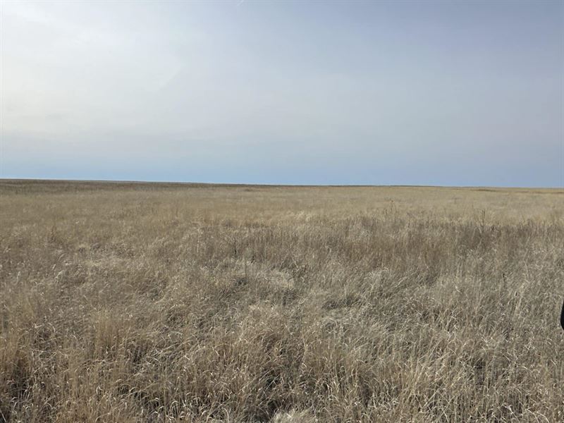 Crowley County Crp Tract 12 : Sugar City : Crowley County : Colorado